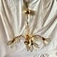Vintage chandelier in gold metal and mother-of-pearl petals - 5 branches