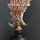 Cabinet of Curiosities shell harpago chiragra on base