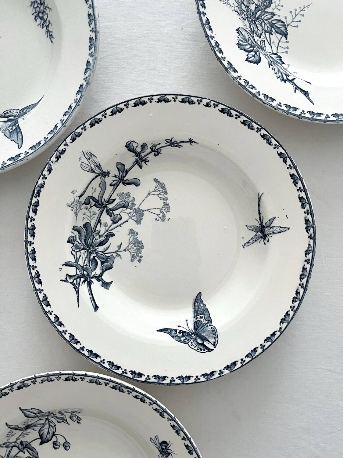 4 deep plates ironstone butterflies "Carmen" Sarreguemines