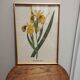 Ancient table on the iris