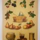 Educational poster "les confitures" school museum Emile Deyrolle