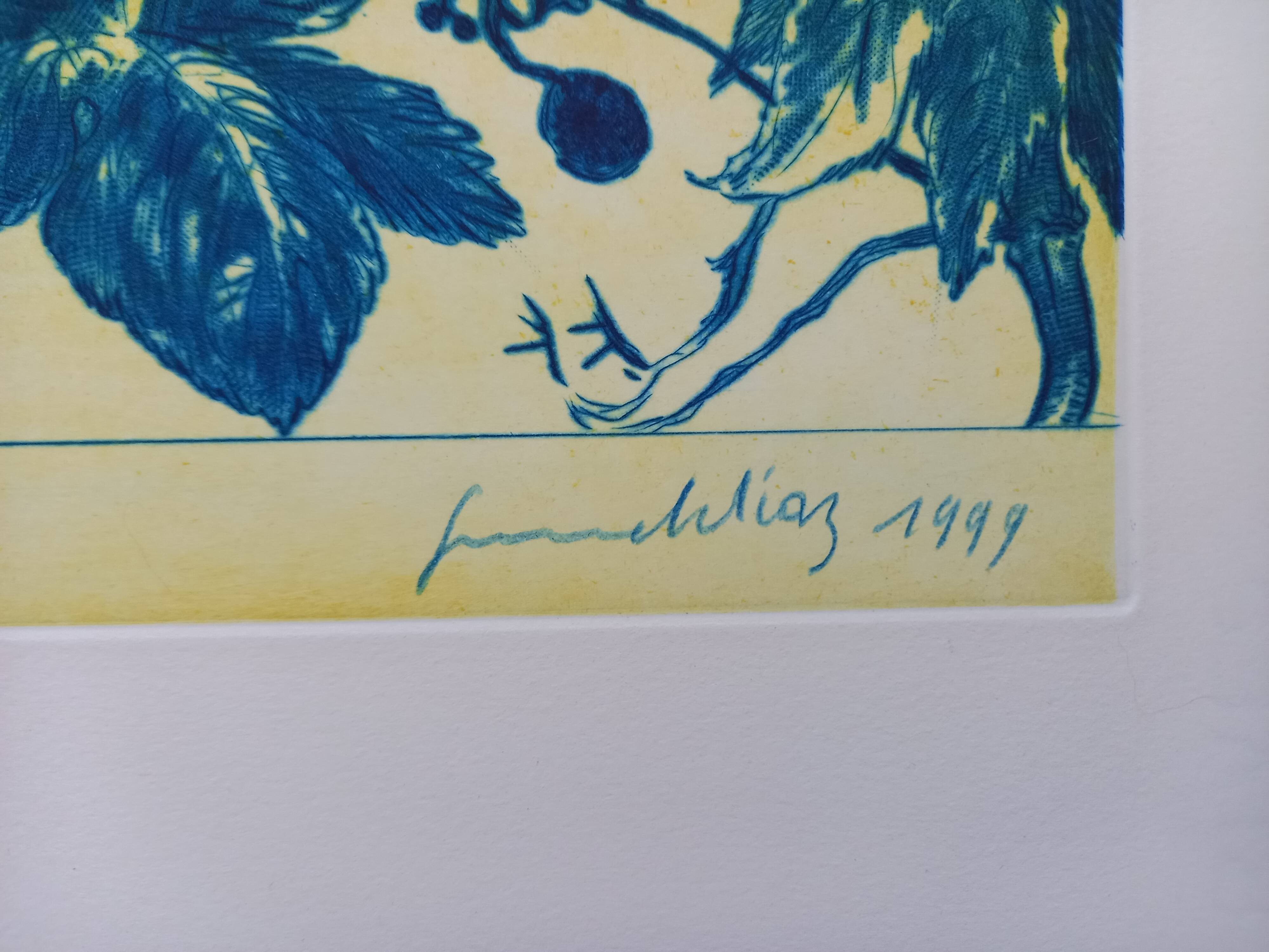 Original lithograph by Gérard Diaz (1938-2021), "la vigne, le raisin, le vin", 1999.