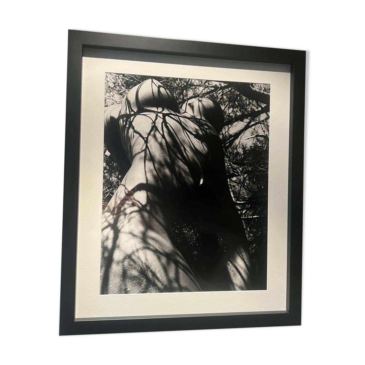 Lucien Clergue (1934-2014) - Nude in the forest 1973 Original Numbered Print