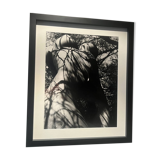 Lucien Clergue (1934-2014) - Nu dans la forêt 1973 Tirage Original Numéroté