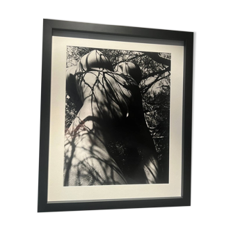 Lucien Clergue (1934-2014) - Nude in the forest 1973 Original Numbered Print
