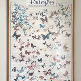 TABLEAU Display BUTTERFLY Italy Vintage