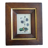 Tableau botanique