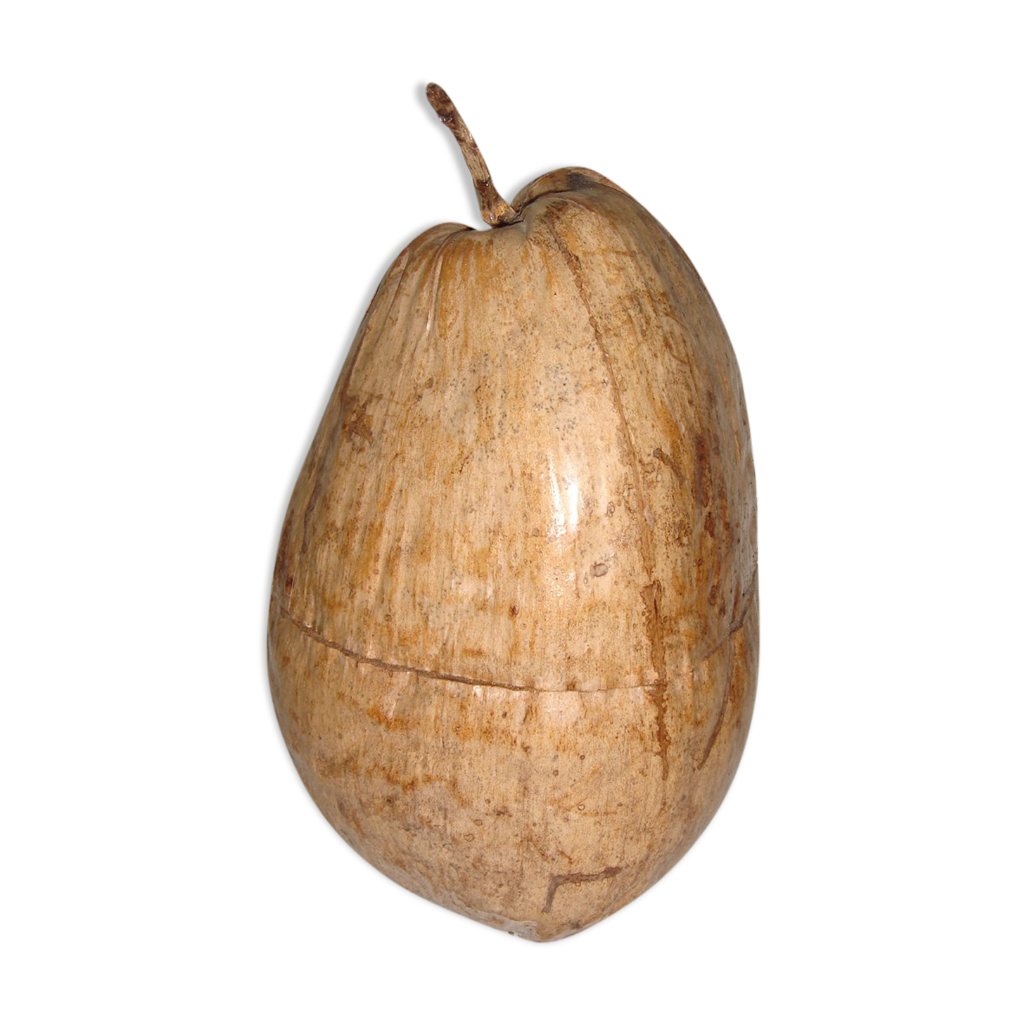 Ice bucket, naturalized coconut from 1970