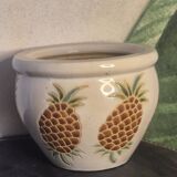 Pineapple planter