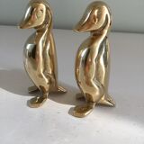 Golden brass penguins