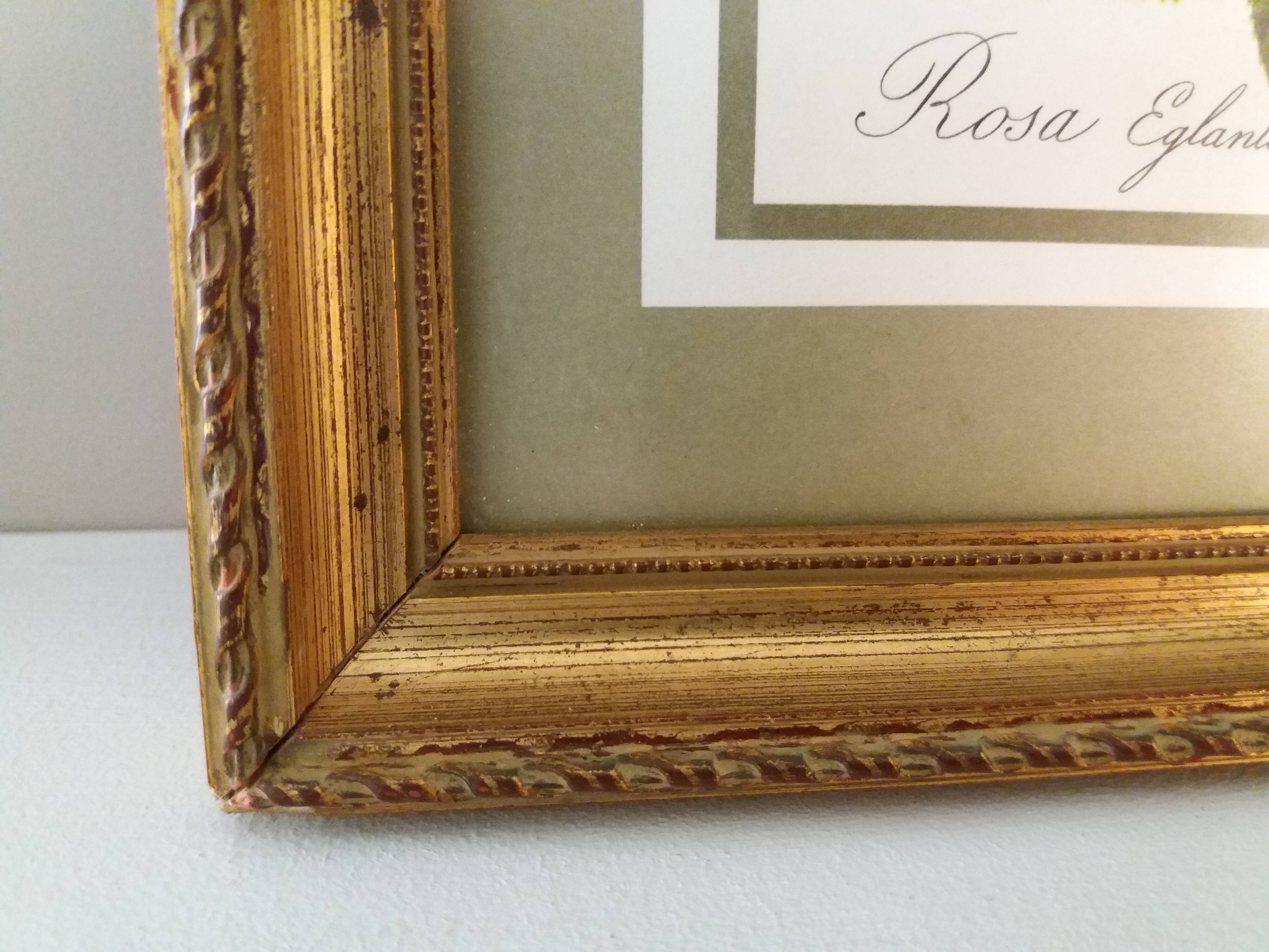 Table Board botanical "Rosa Eglanteria"