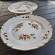 Presentation plates XlX