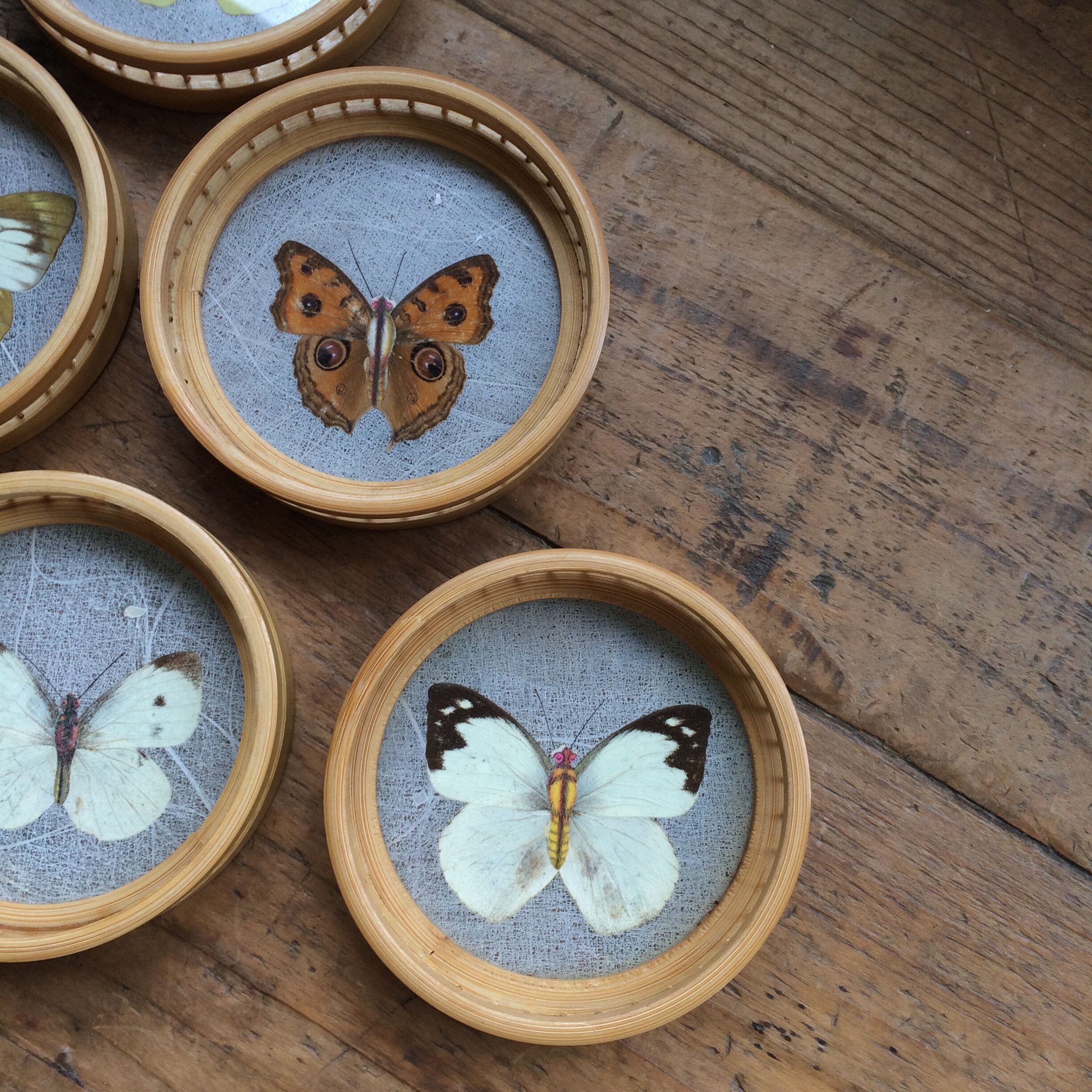 Butterflies glasses mats