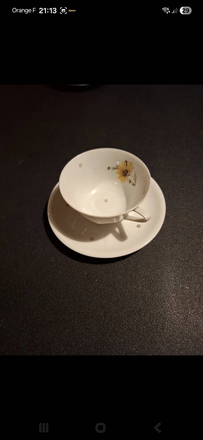 Fine porcelain coffee cups