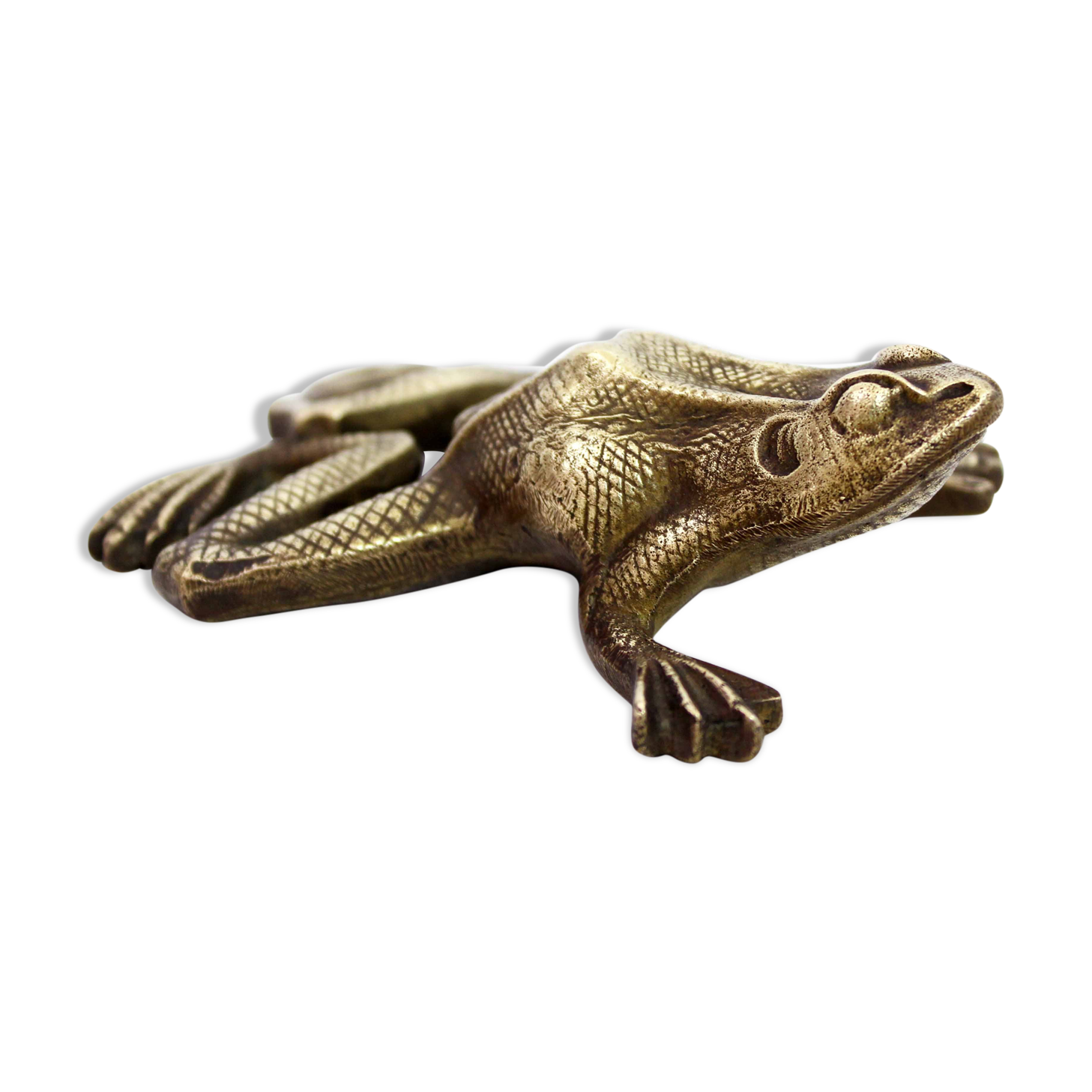Bronze frog 50s