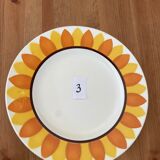 Flat plates model TOURNESOL DIGOIN