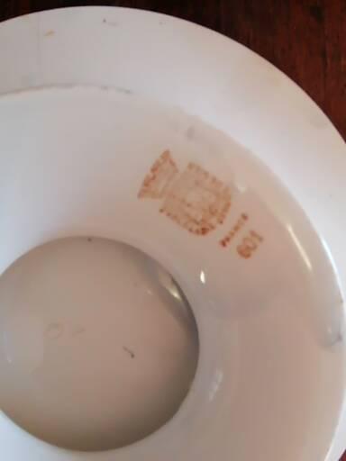 Round peedouche dish in Gien earthenware, birds and orange and black berries