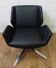Ray tulip designer armchair