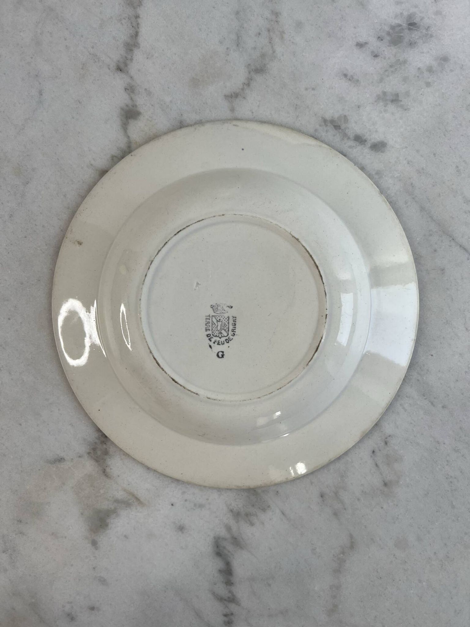 Hollow plate in ironstone from Terre de Feu of Grigny with floral decoration bl