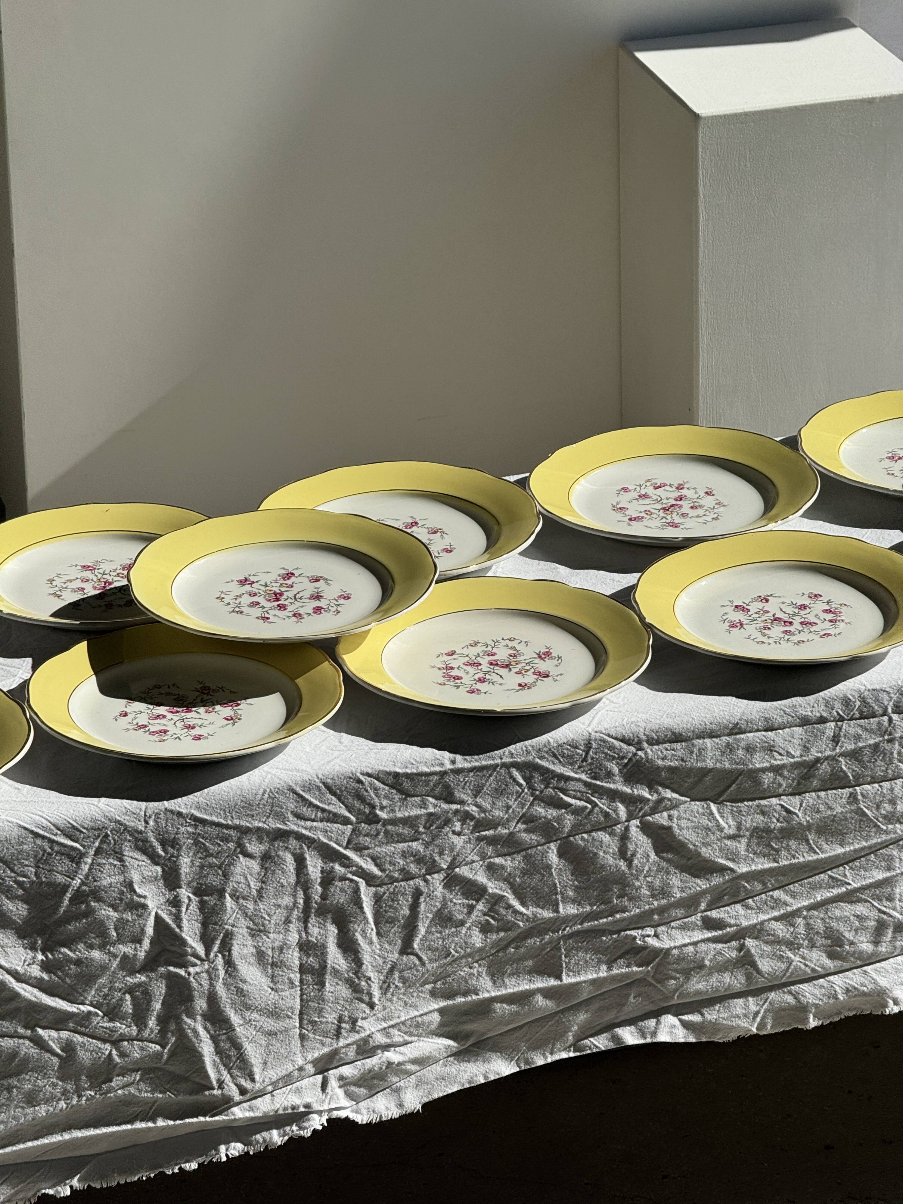 Lot de 19 grandes assiettes plates vintage jaunes fleurs roses liseré doré