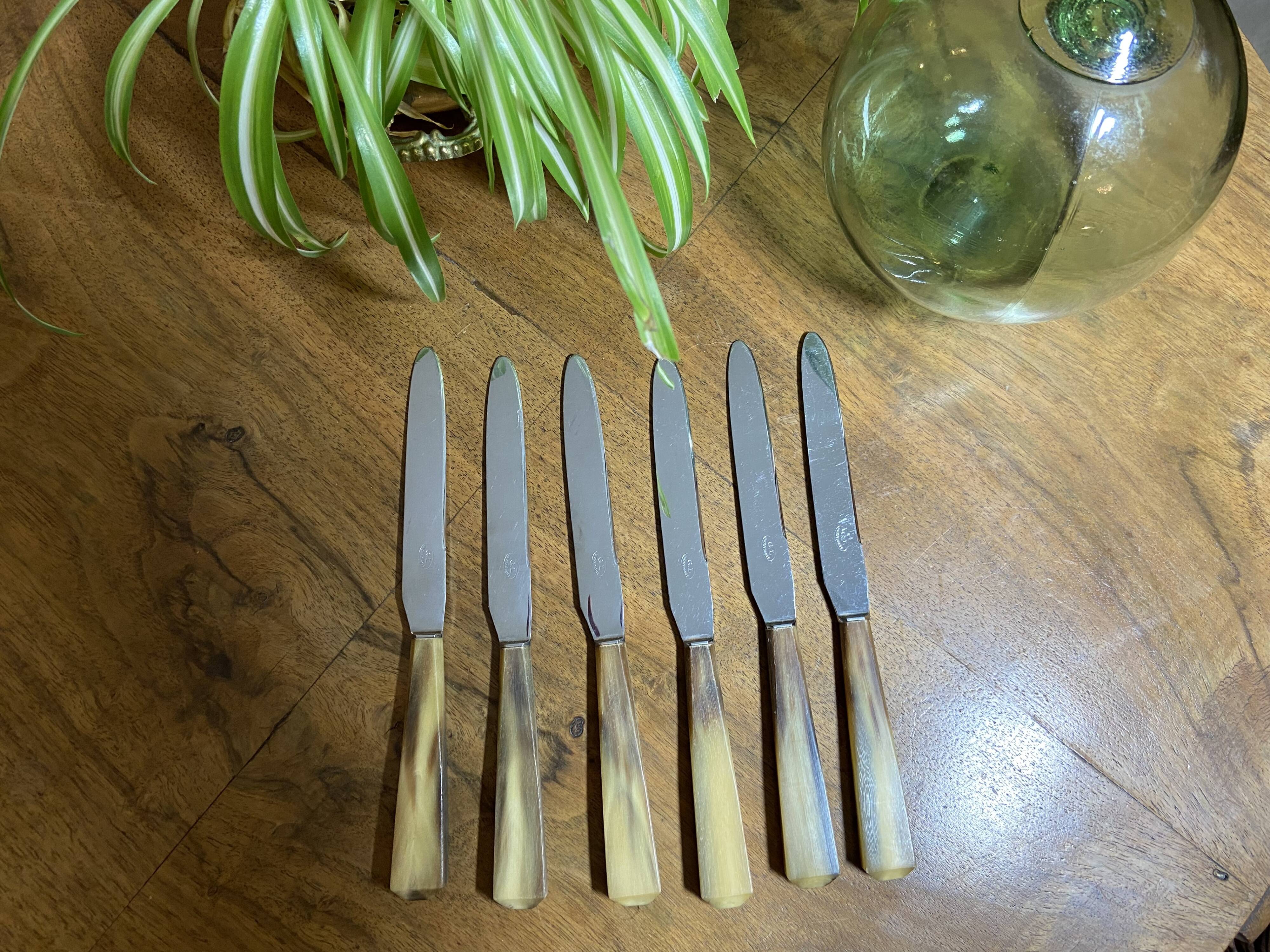 PRODUCT BHV - Set of 6 small vintage horn knives