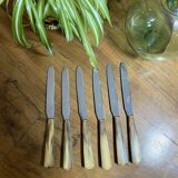 PRODUCT BHV - Set of 6 small vintage horn knives