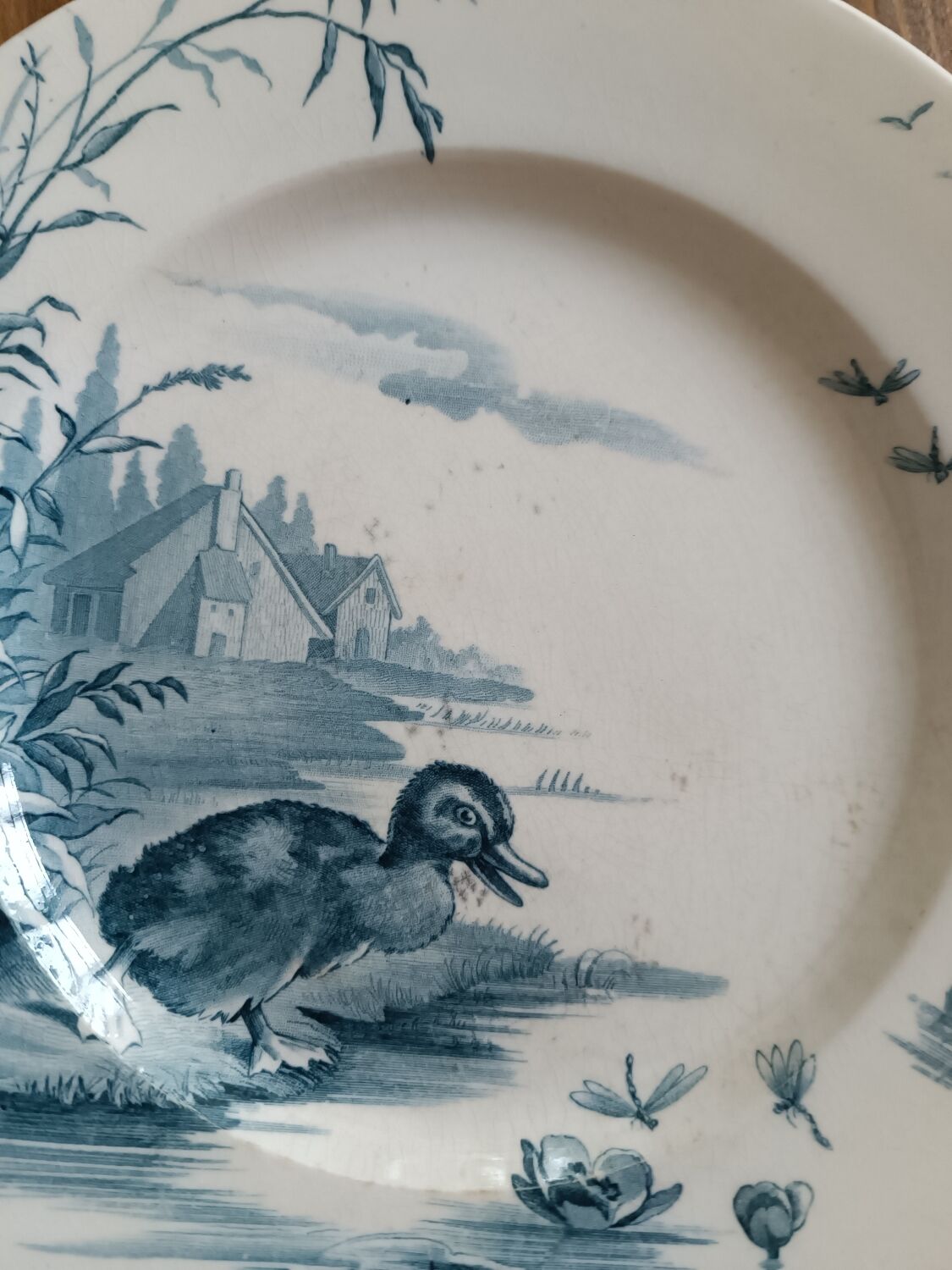 4 plates iron earth Gien model Ducks