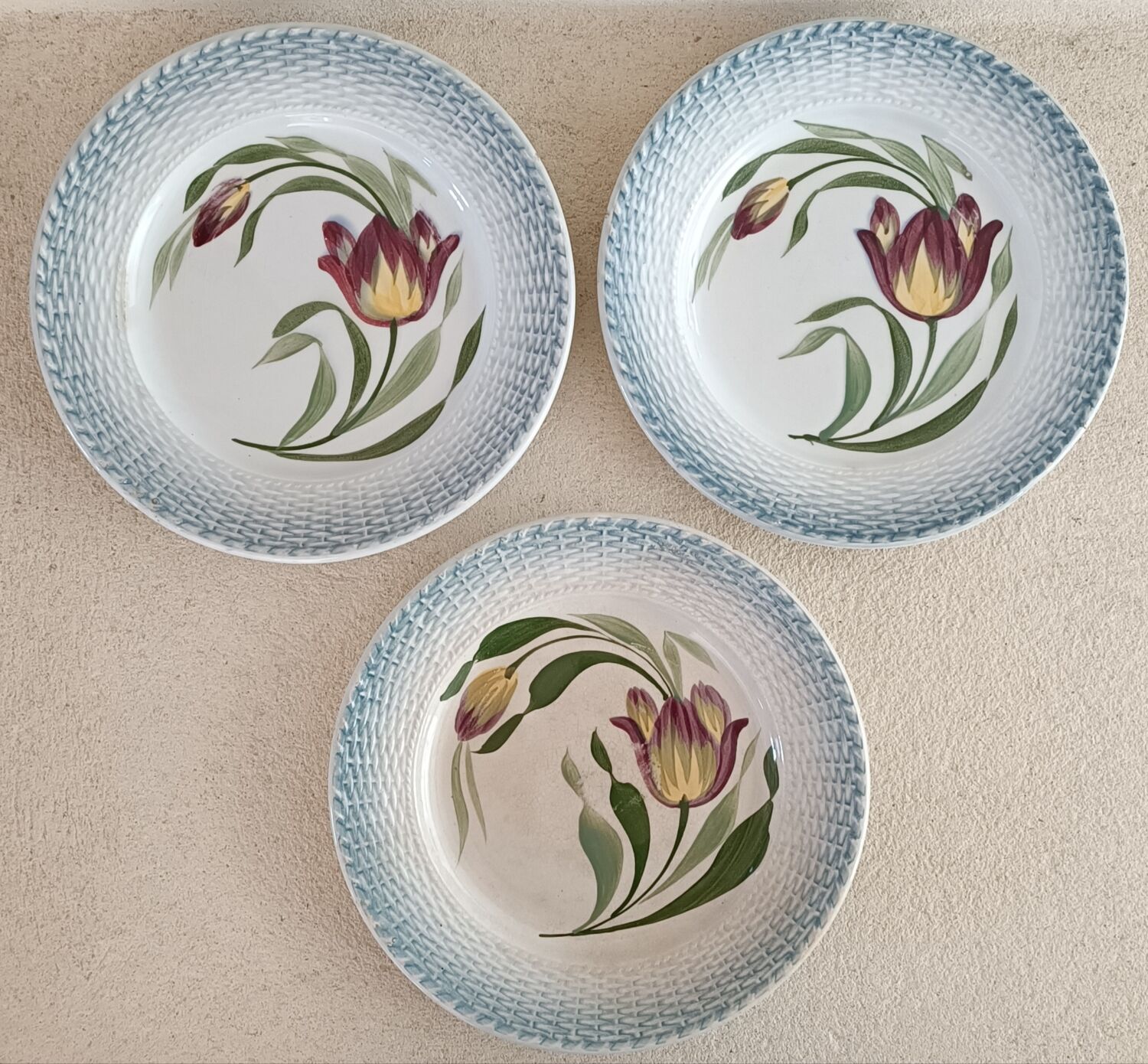 6 Saint Amand plates iris decor