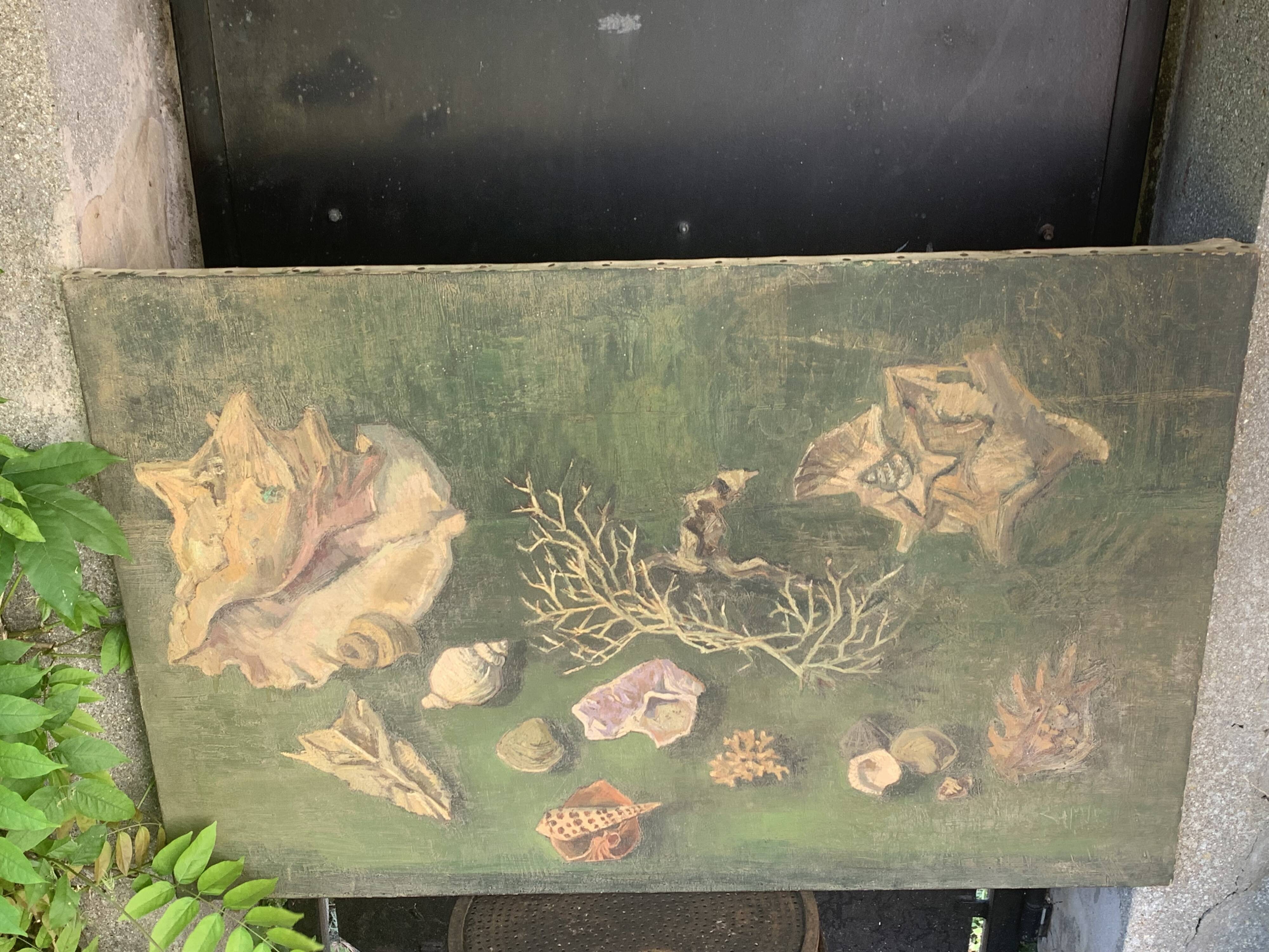 Large painting of shells, cabinet of curiosities, sign, vintage