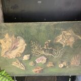 Large painting of shells, cabinet of curiosities, sign, vintage
