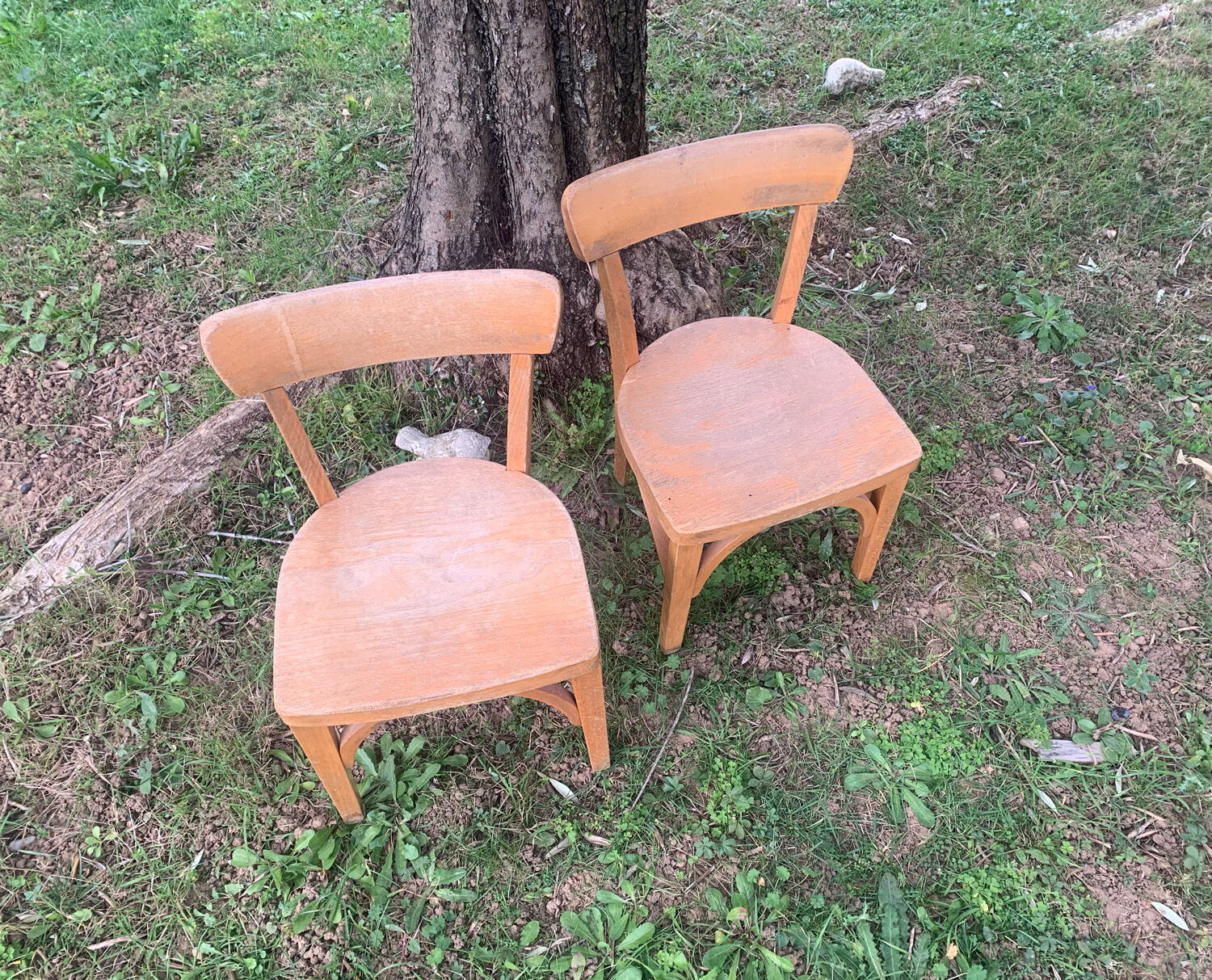 Stella school chairs