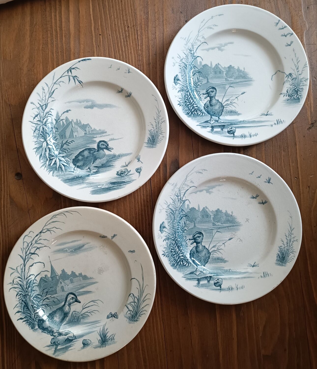 4 Gien plates model Ducks