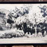 Charcoal on paper by Granados Llimona