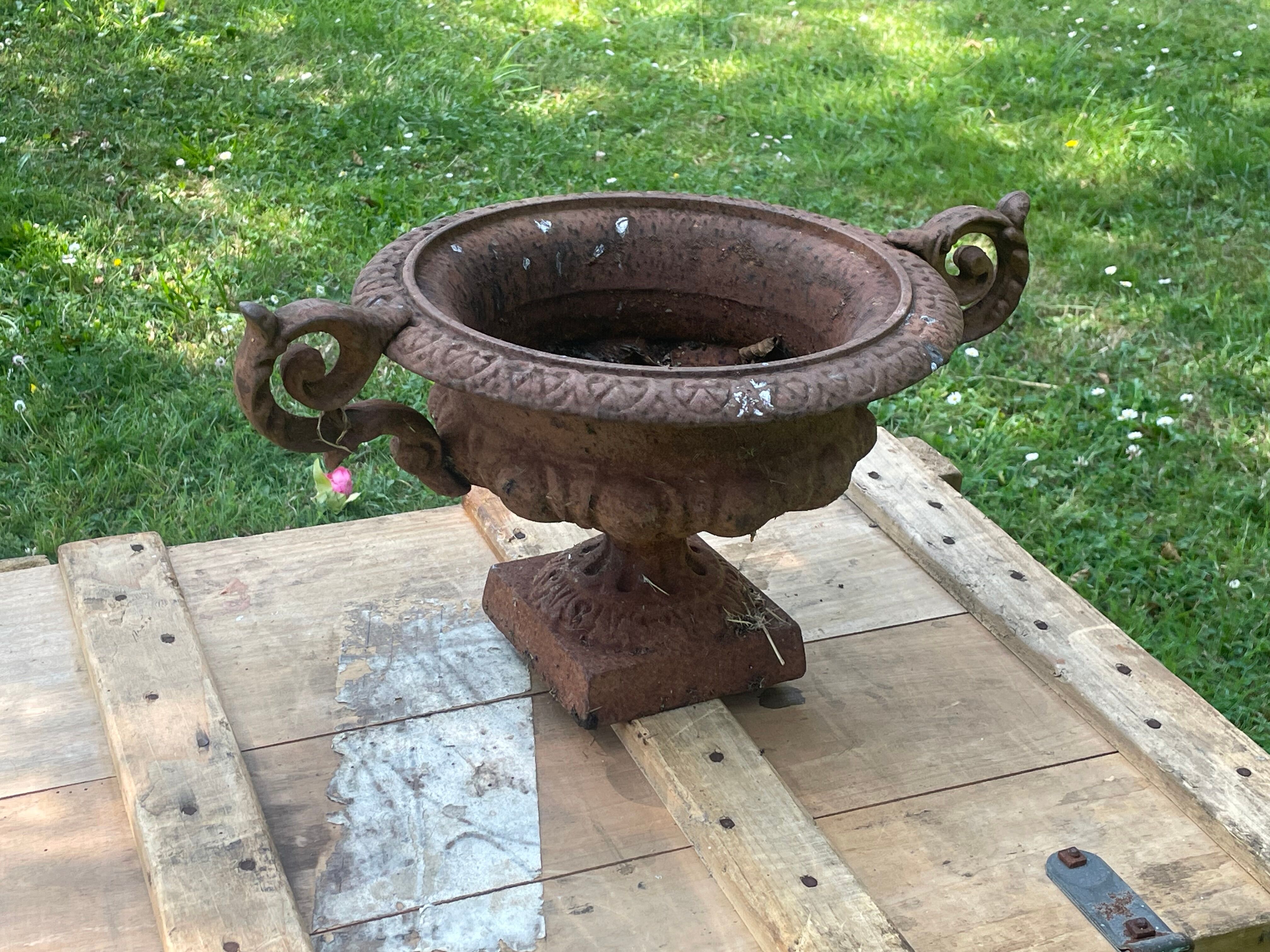 Medici vase cast iron / garden or interior decoration