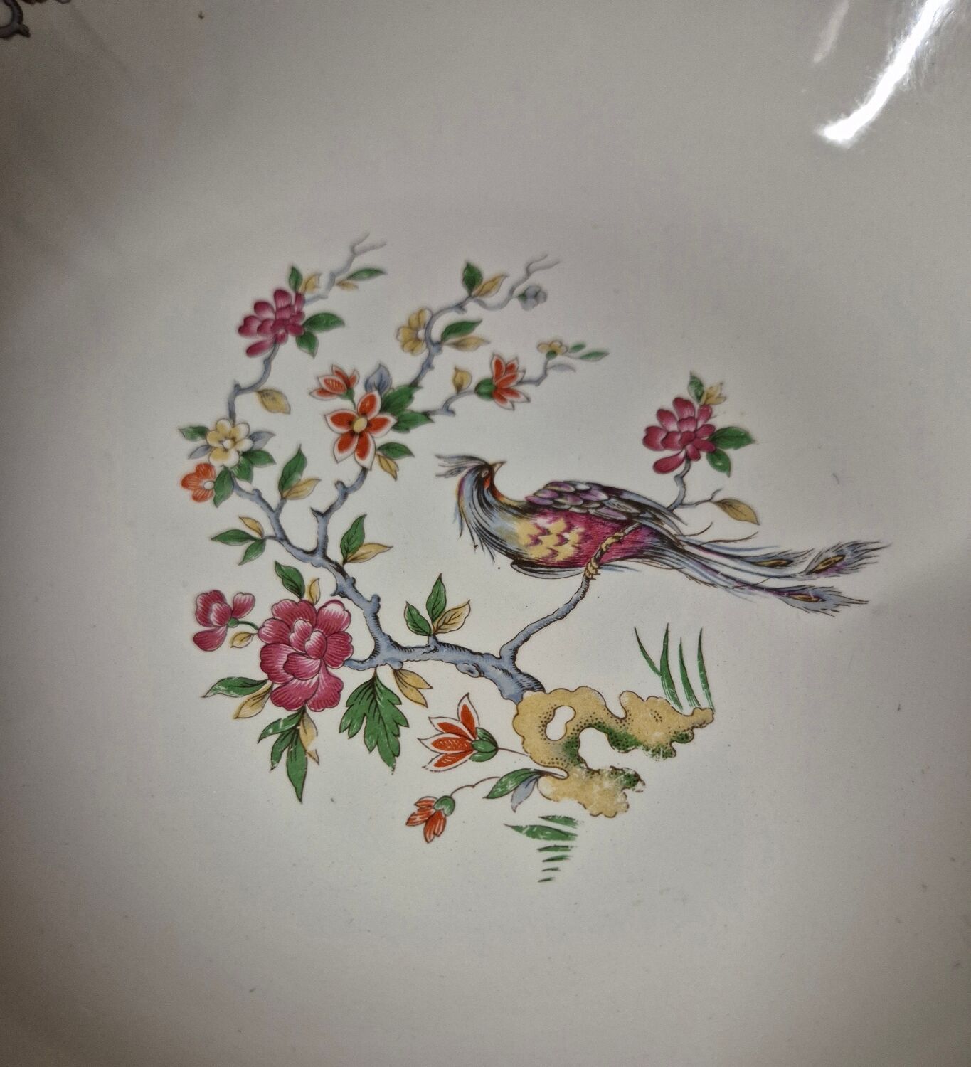Digoin sarreguemines condé plat creux 28cm décor oiseau fleurs vintage