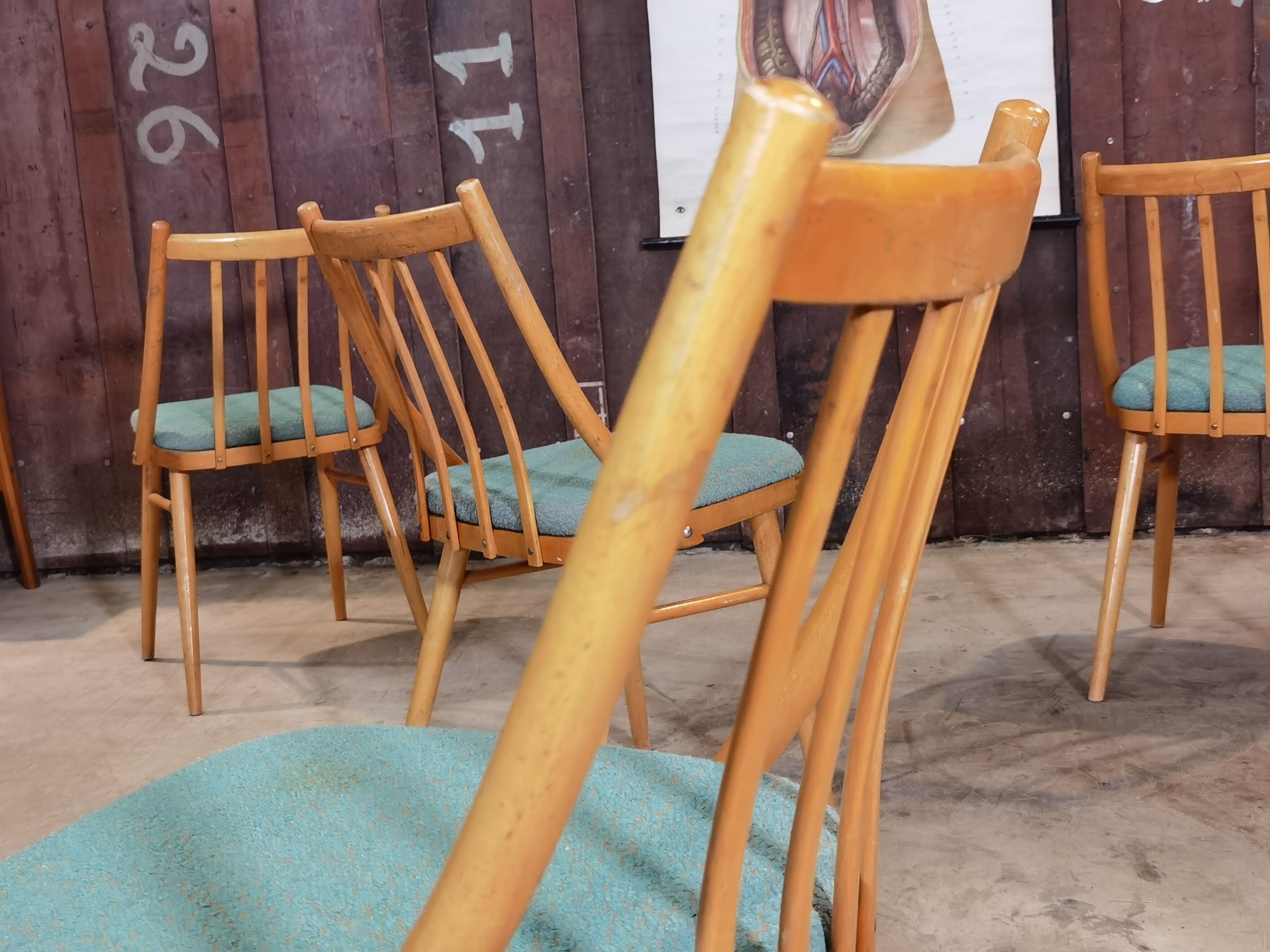 Lot of 4 chairs Antonin Suman