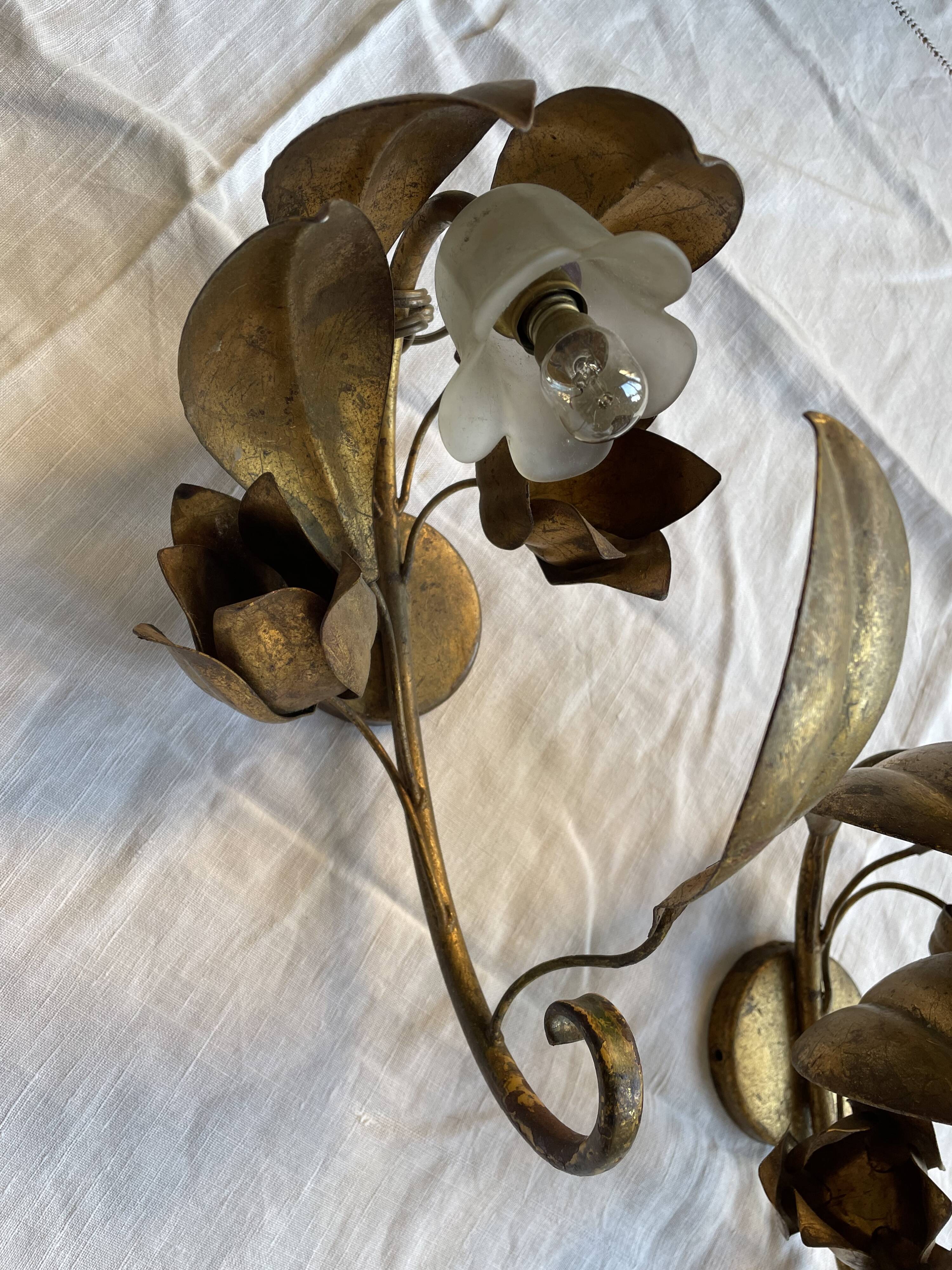 Pair of golden flower wall lights - 20th century