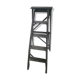 Library ladder
