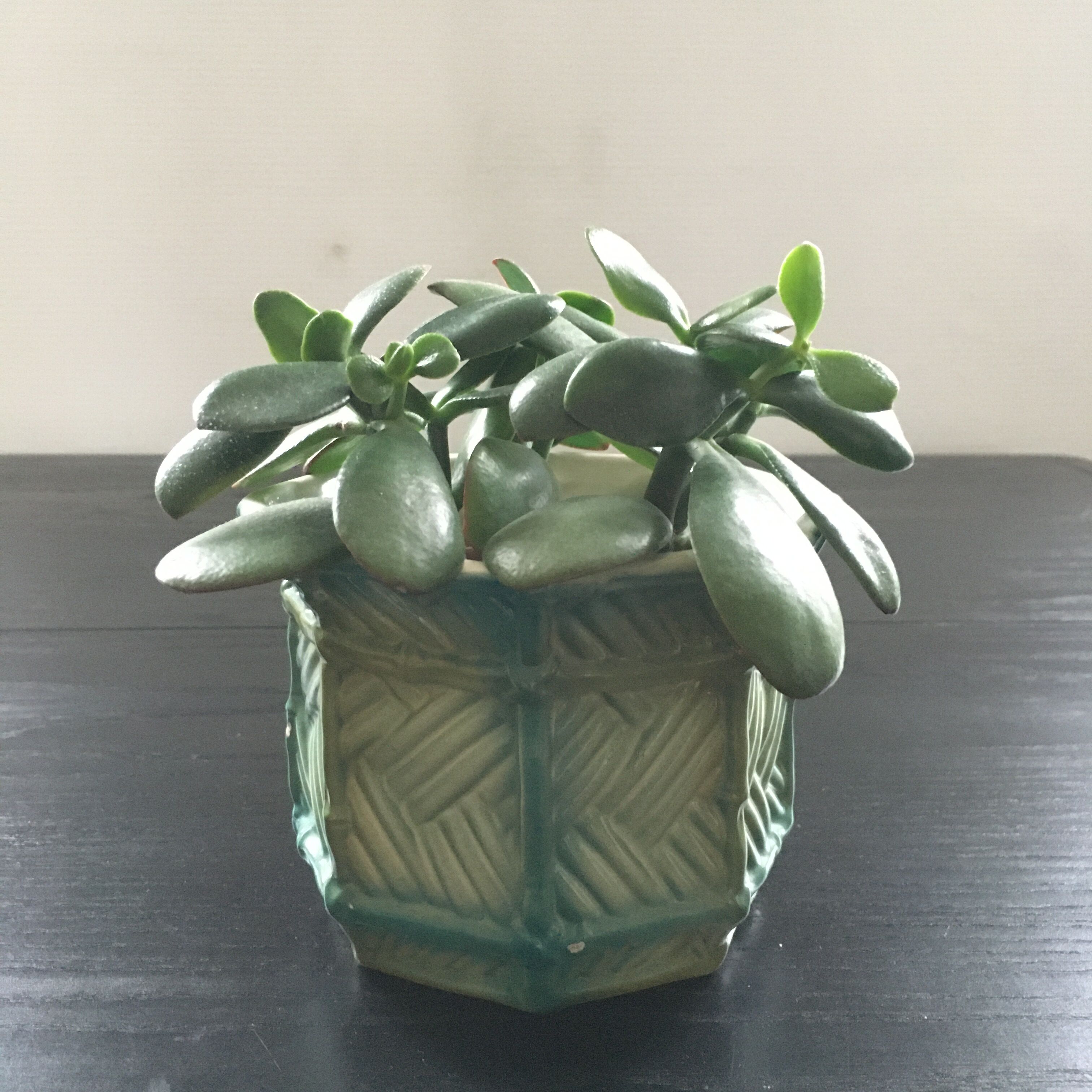 Barbotine planter with cane decor