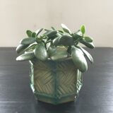 Barbotine planter with cane decor