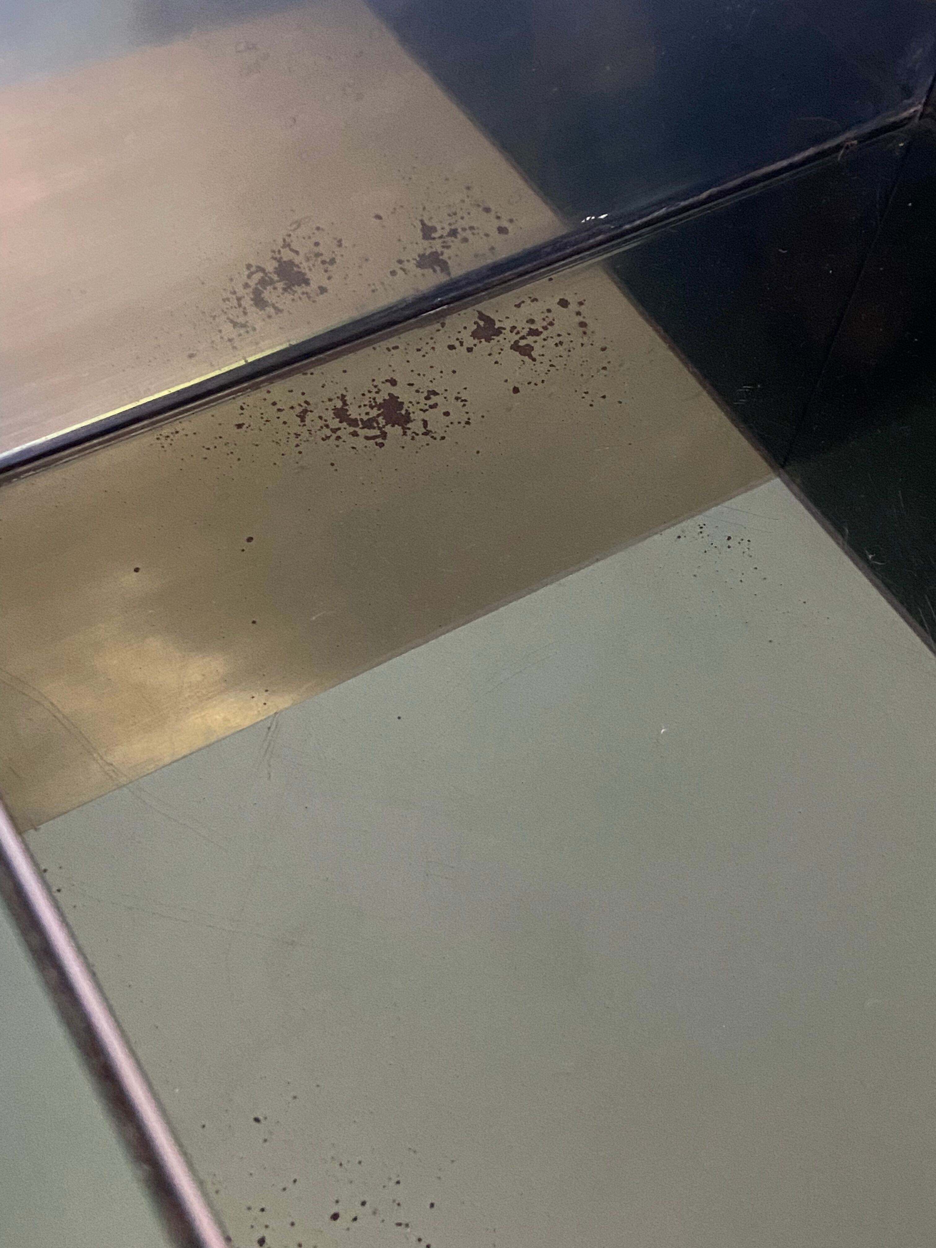 Free-form raw wood coffee table