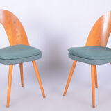 Set of Four Original Midcentury Ash Chairs by Antonin Suman, Czechia, 1930s