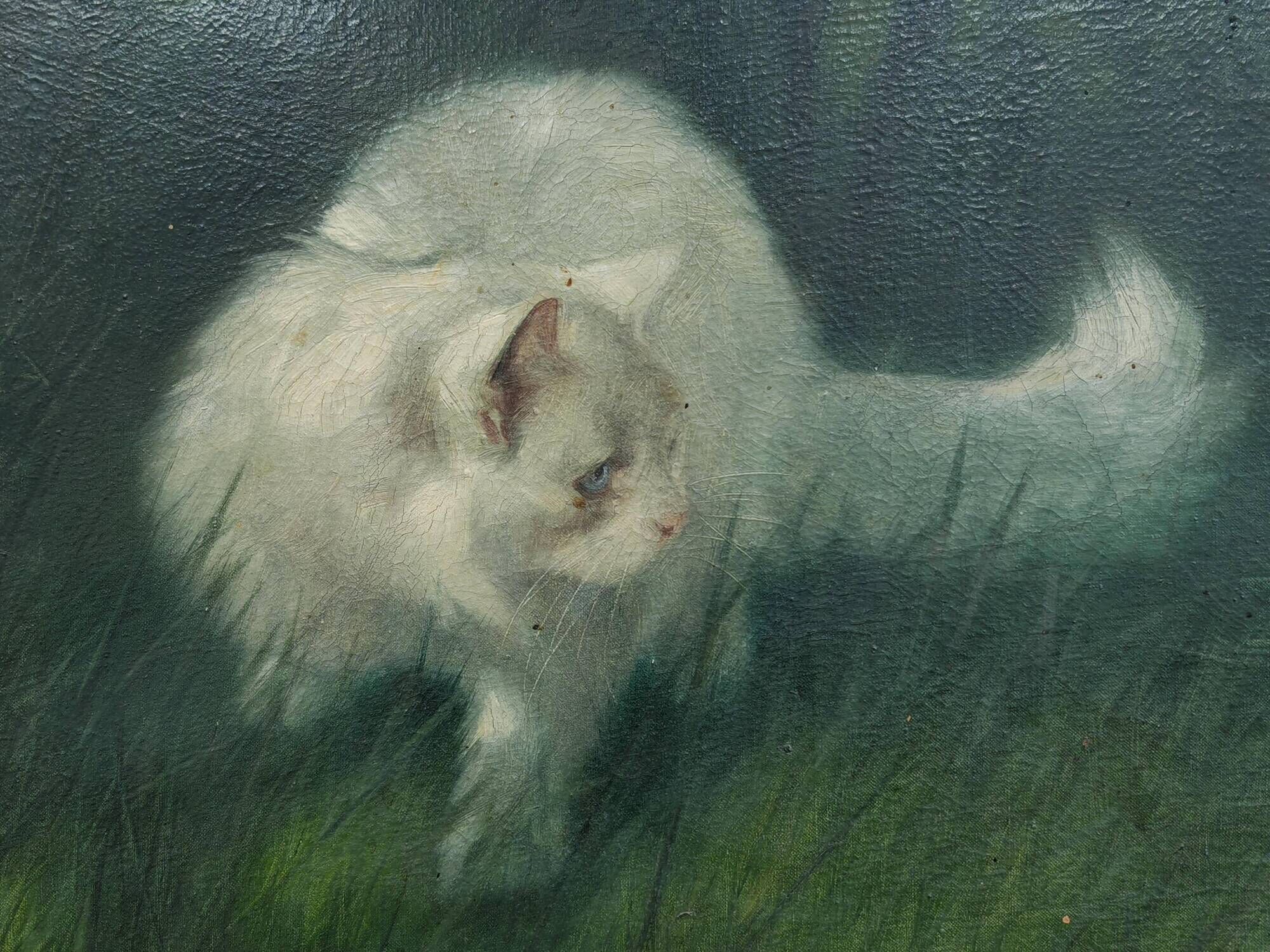 Cat in the garden, oil on canvas by Arthur Heyer, 1910s.