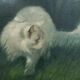 Cat in the garden, oil on canvas by Arthur Heyer, 1910s.