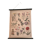 Botanical tapestry of flowers