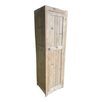 Wardrobe with 1 raw wood door
