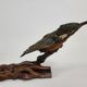 Stuffed and naturalized Kingbird Taxidermy