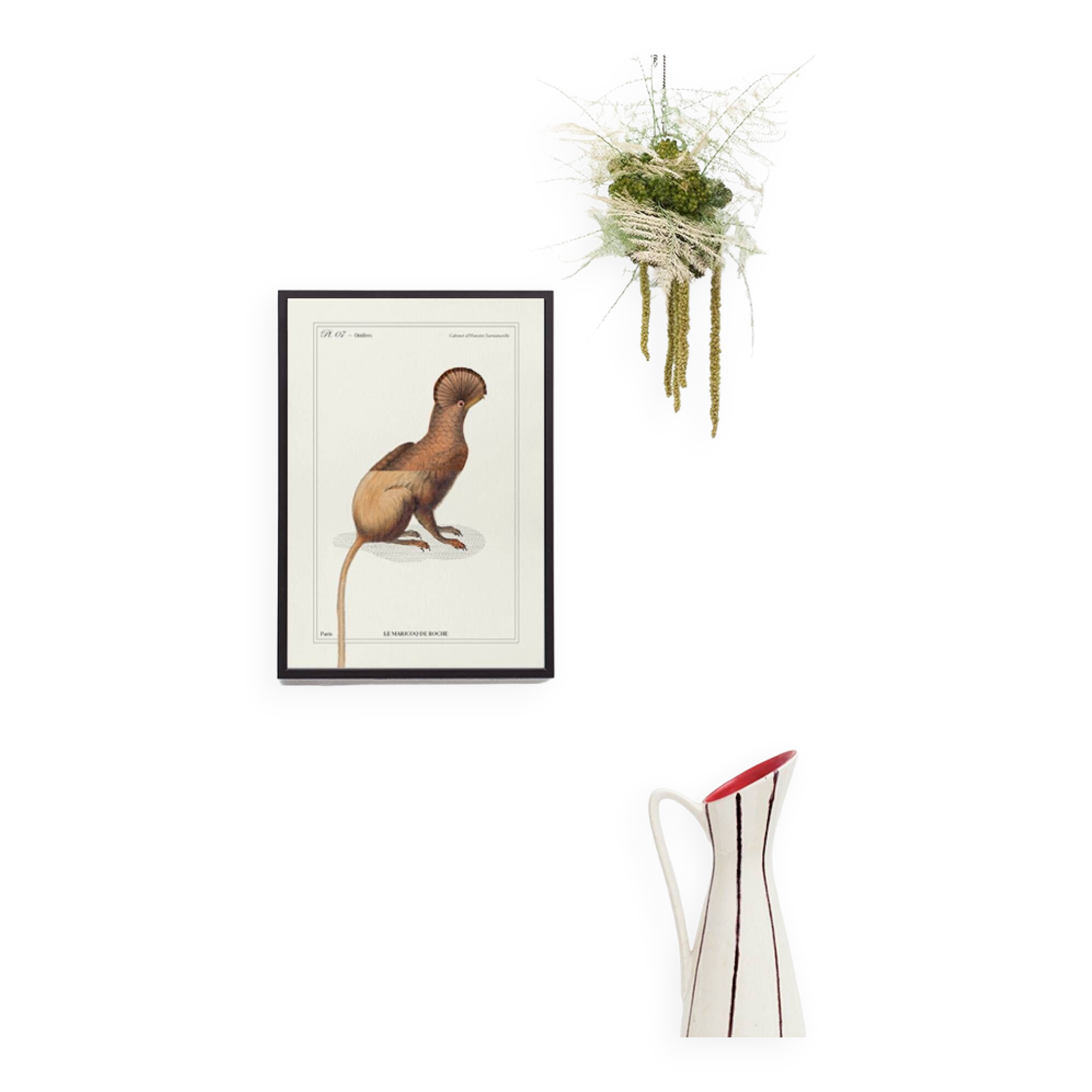 Chimera lithograph engraving animal - the maricoq