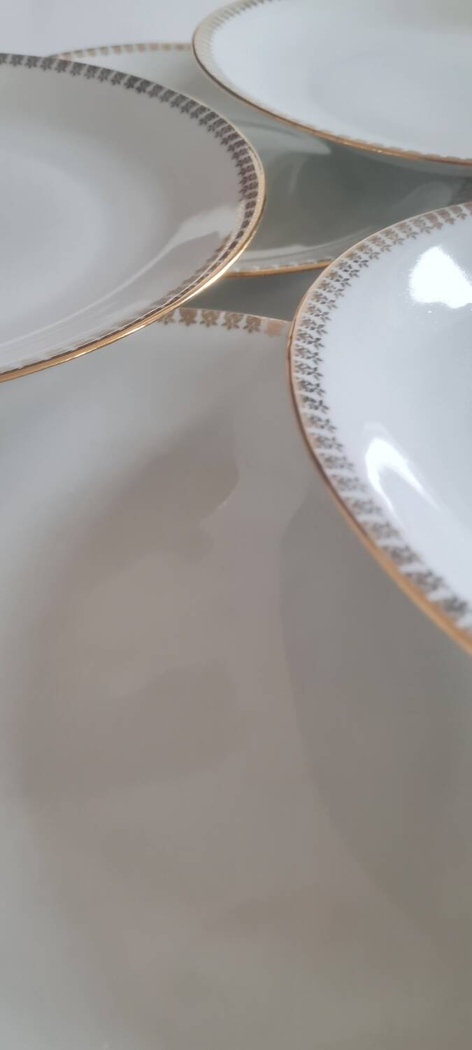 Set of 8 Limoges porcelain plates