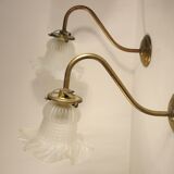 Pair of gooseneck wall lamps